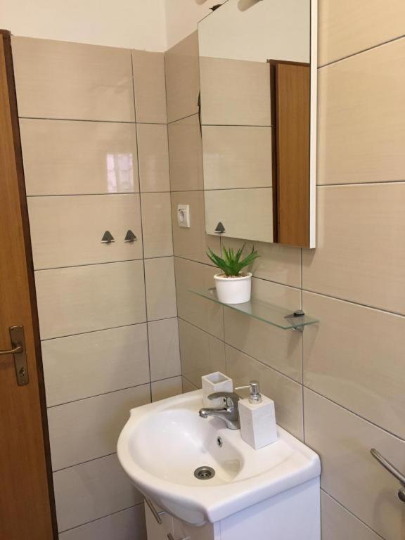 Apartmani Diana 비오그라드나모루 외부 사진